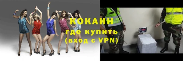 кокс Алексин