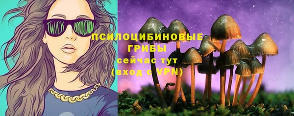 spice Абаза