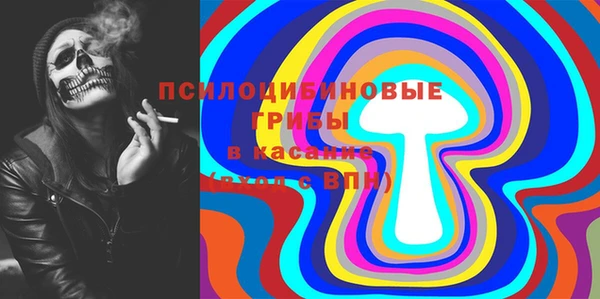 кокс Алексин